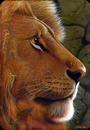 Jah-Lion (JC) profile picture