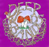 Deep Woods Band profile picture