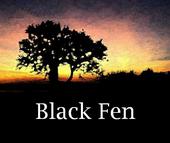 Black Fen profile picture