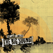 THE BIG SOUND profile picture