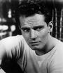 Charlton Heston profile picture