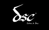 Dsc Guitars profile picture