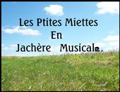 Les Ptites Miettes (En jachÃ¨re musical.) profile picture