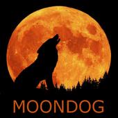 Moondog profile picture