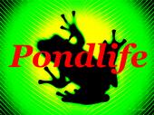 Pondlife profile picture