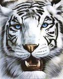 White Tiger profile picture