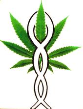 Universal Cannabis Ministry profile picture