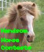 handsom horse contest profile picture