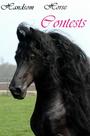 handsom horse contest profile picture