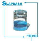 Slapdash profile picture