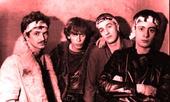 The Teardrop Explodes profile picture