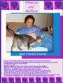 Winging Cat Rescue,Inc profile picture