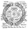 the hollow earth profile picture