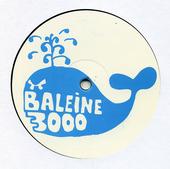 BALEINE 3000 CREW profile picture