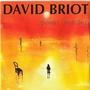 DavidBrioT profile picture