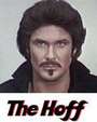 The Hoff profile picture