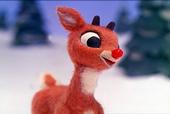 Rudolf profile picture