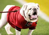 Go Dawgs Ranked #1 in the Pre-Pre Season Poll profile picture