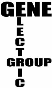 GENE Electric Group profile picture