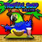 Tropical Soup profile picture