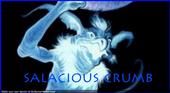 Salacious Crumb profile picture