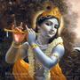 Krishna profile picture