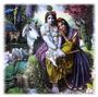 Krishna profile picture