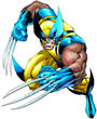 Wolverine profile picture