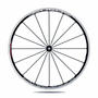 Campagnolo profile picture