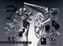 Campagnolo profile picture