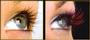 E lashes by Elexsis profile picture