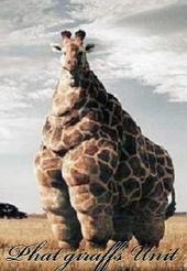 Phat giraffs Unit #2 profile picture