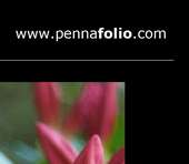 pennafolio.com profile picture