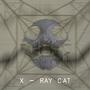 X-Ray-Cat profile picture