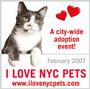 NYC ACC! JACKIE NEEDS A HOME! 3 + YEARS TOO LONG! profile picture