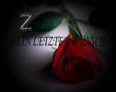 H.A.U zudem Z H.I.N support profile picture