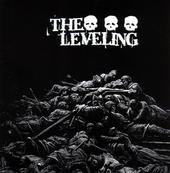 The Leveling profile picture