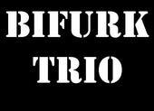 BIFURK TRIO profile picture