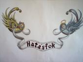 HatÃ¡sfok profile picture