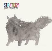 Strategy profile picture