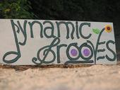 Dynamic Grooves Street Team profile picture