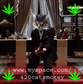 420catsmokey