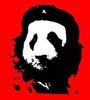 PANDAmonium! profile picture