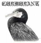 Cormorant profile picture