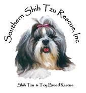 Shih Tzu/Toy Rsq profile picture