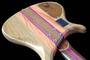 D'ALEGRIA basses & guitars profile picture