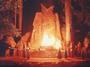 Bohemian Grove profile picture