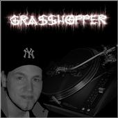 DJ Grasshopper profile picture