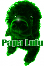 Papa Lulu profile picture