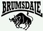 BRUMSDALE profile picture